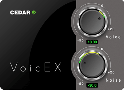 VoicEX voice extractor