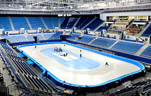 Gangneung Ice Arena Seating Chart