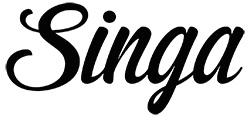 Singa entertainment software specialist 