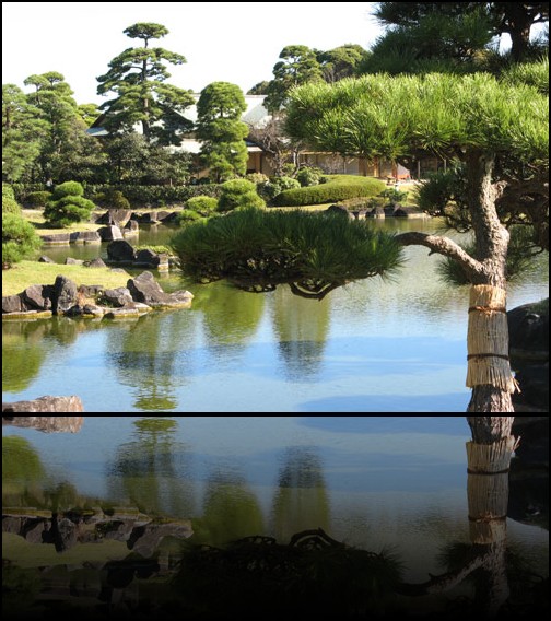 tokyo9 tokyo9