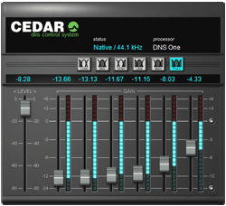 Cedar Audio DNS One AAX
