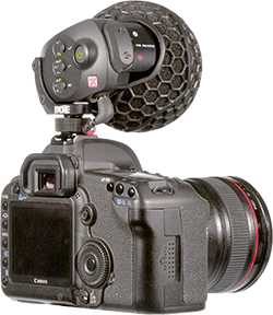 Stereo VideoMic X