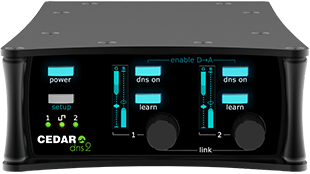 Cedar Audio DNS 2 