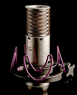 Aston Microphones Aston Custom Rycote Shock Mount