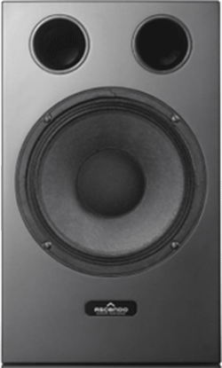 CCM10-P Coax Monitor LoudspeakerCCM10-P Coax Monitor Loudspeaker