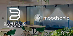 Moodsonic and Bluesound Professional