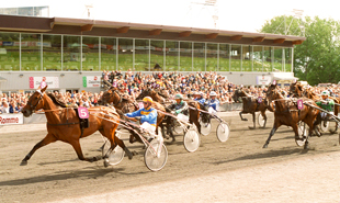 Romme Trotting racetrack