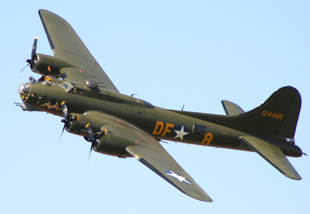 Sally B