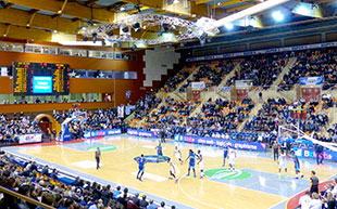 Palais des Sports