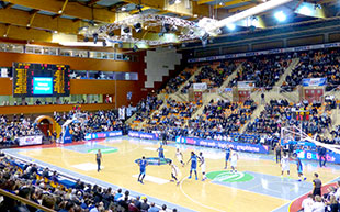 Palais des Sports