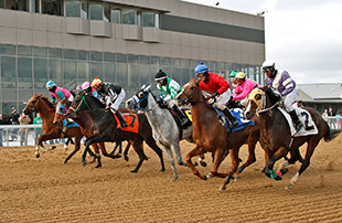 Hollywood Gaming Mahoning Valley Race Course