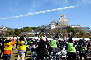 Himeji Castle 