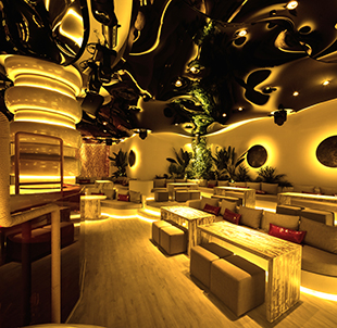 Pacha Ibiza Dubai Pacha Ibiza Dubai