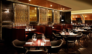 Aqua Nueva Aqua Nueva
