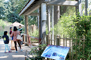 Woodland Park Zoo