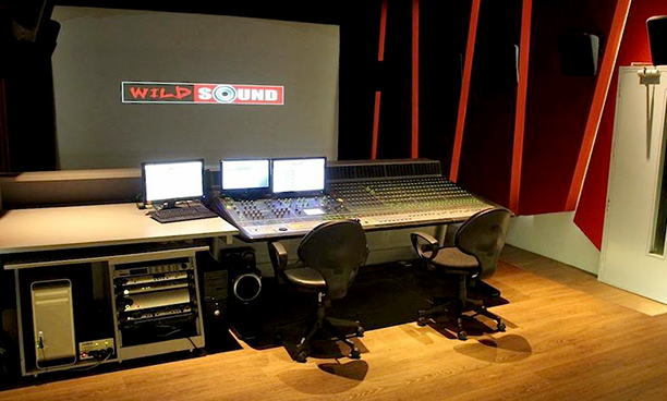 WildSound Mixing Suite 