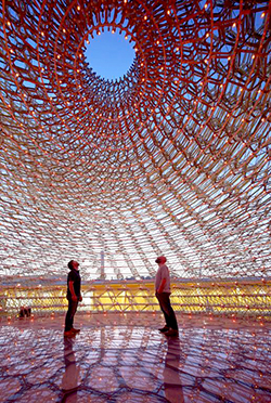 The Hive