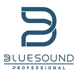 Bluesound Professional