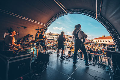 Steve ‘N’ Seagulls