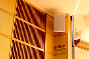 Martin Audio Adorn loudspeaker in the Igakukan