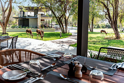 Mokuti Lodge (Pic: Sonja Kilian)