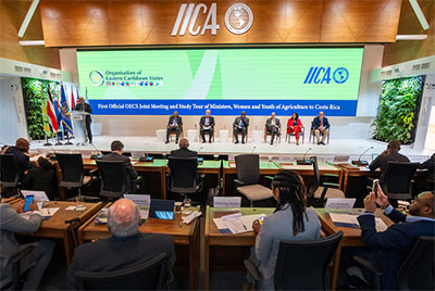 Inter-American Institute for Cooperation on Agriculture