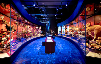 Smart IP technology drives immersive audio across seven gallery zones