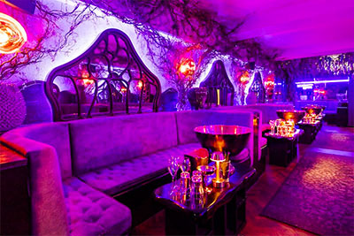 Rex Rooms