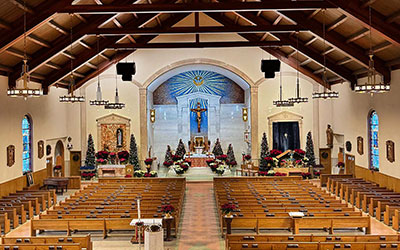 St Bernadette of Lourdes Parish