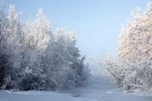 Oymyakon landscape