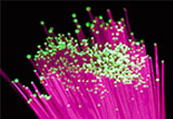 Fibre optics