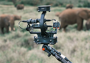 The double MS stereo rig (Pic: Dustoff Films)