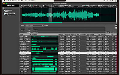 Tascam Audio File Manager software