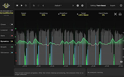 Noiseworks Audio VoiceAssist
