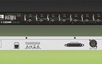 Cedar Audio DNS 8S
